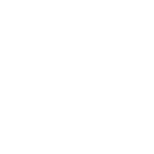 BRIDGE Logo